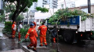 1010x567_municipalidad-trabajos-474821-211307