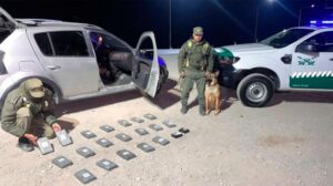 1010x567_cocaina-459669-071106