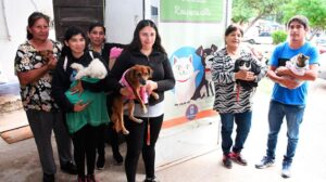 1010x567_esterilizacion-gratuitas-479944-110314