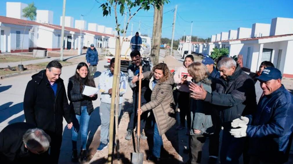PLANTANDO