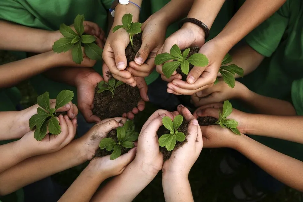 educacion-ambiental
