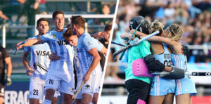 las-leonas-los-leones