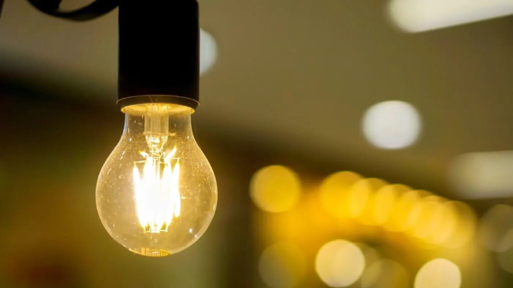 LUZ (1)
