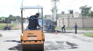 bacheo-Jardin-800x445