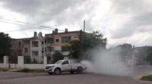 fumigar77-800x445