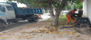 image (1)
