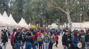 CULTURA-800x445