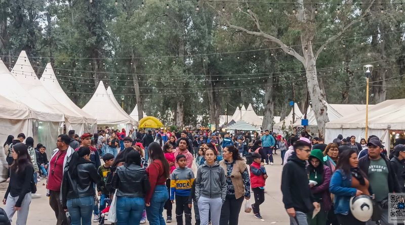 CULTURA-800x445