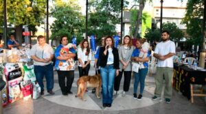 fuentes-dia-animal-800x445
