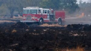 Incendio-pastizales