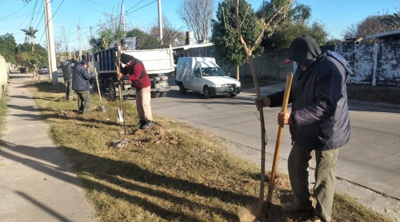 plantacion-Ejercito-Argentino-800x445