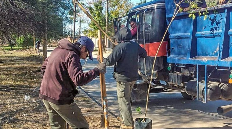 plantacion-Juan-Diaz-de-Solis-800x445