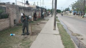 plantacion-La-Catolica-800x445