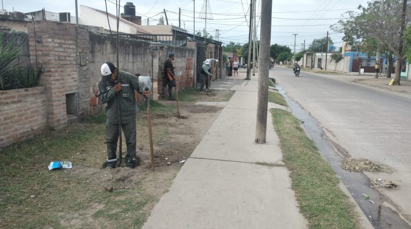 plantacion-La-Catolica-800x445