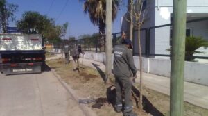 PLANTACION-800x445