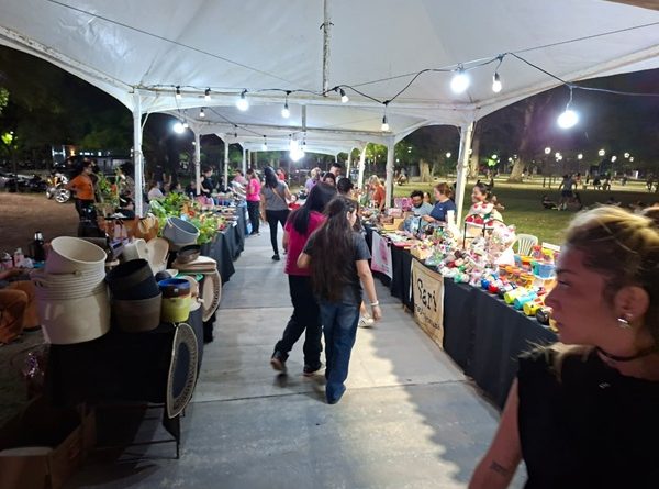 DESARROLLO-600x445