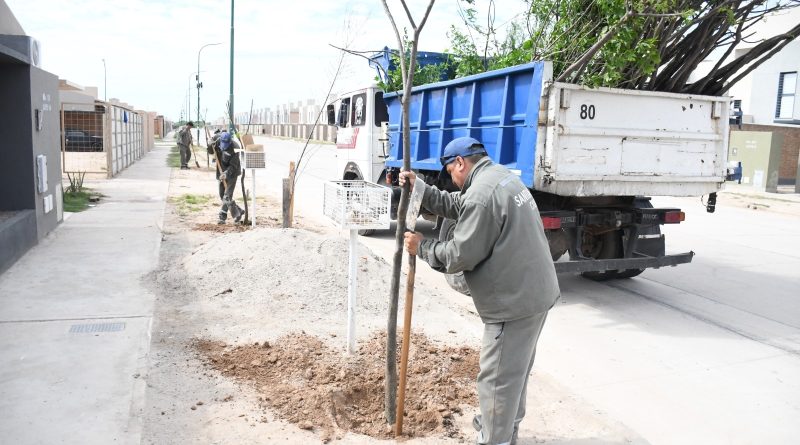 plantacion-Parque-del-Rio-III-800x445