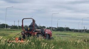 Desmalezamiento-espacios-verdes-800x445
