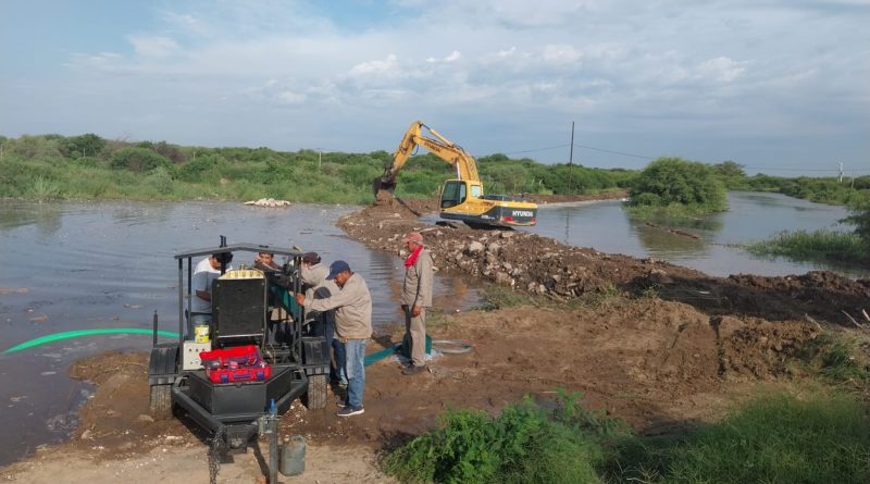 IMG-20260130-WA0035-800x445