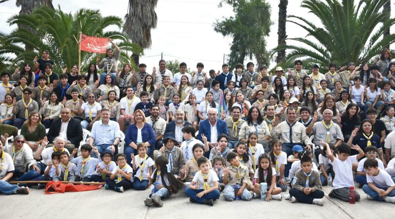 scout-800x445