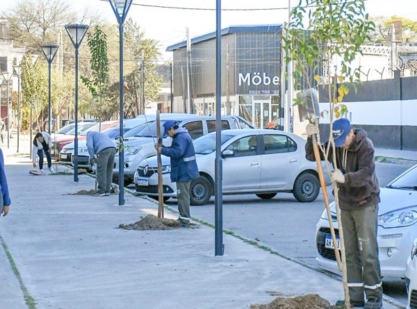 plantaciones-barrio-Congreso-600x445