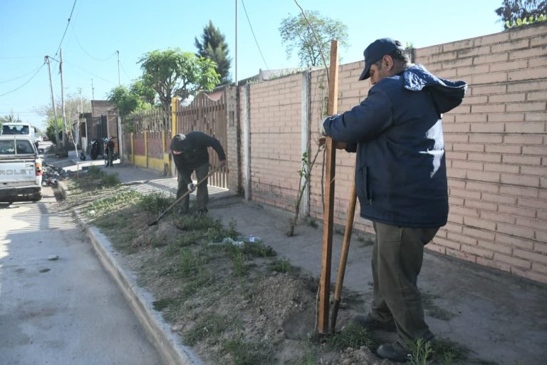 Plantacion-barrio-Jhon-Kennedy-768x512