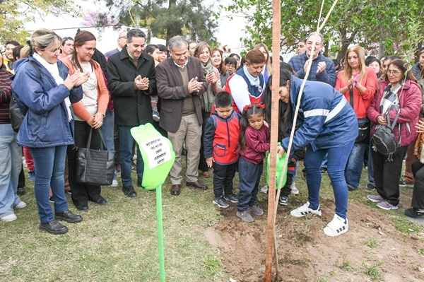 dia-del-arbol