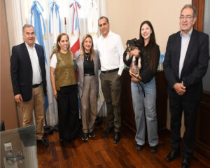 prensa-476409238e09a0ed09d6
